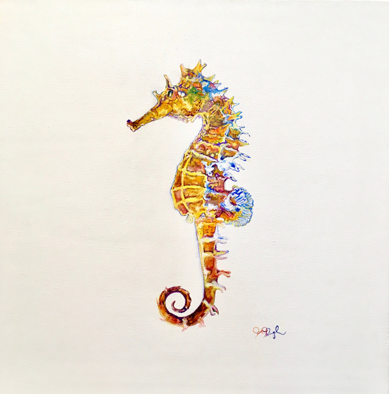 Seahorse in Silhouette
